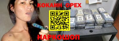 стаф Гатчина