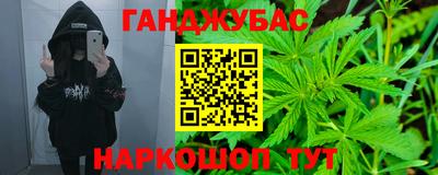 стаф Гатчина