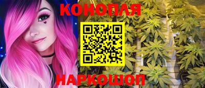 стаф Гатчина