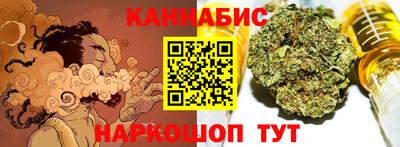 стаф Гатчина