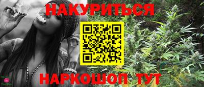 стаф Гатчина