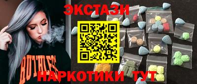 стаф Гатчина