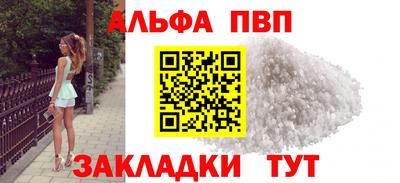 стаф Гатчина