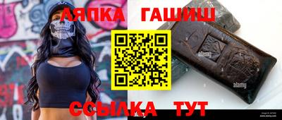 стаф Гатчина
